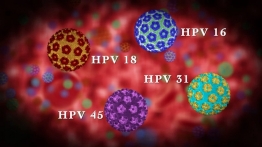 DNA analýza močových infekcí-HPV-papilomavirus